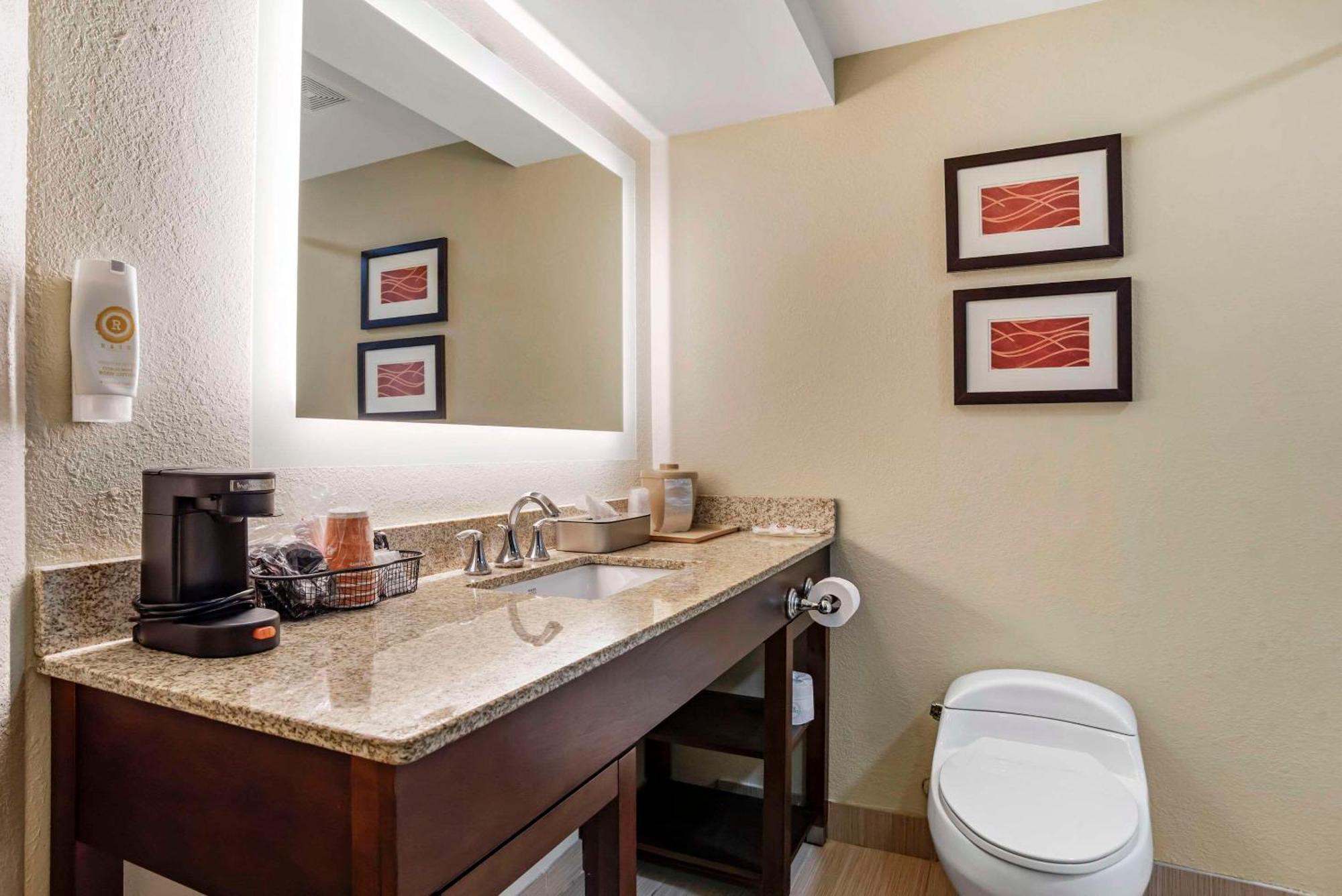 Comfort Inn Opelika - Auburn מראה חיצוני תמונה