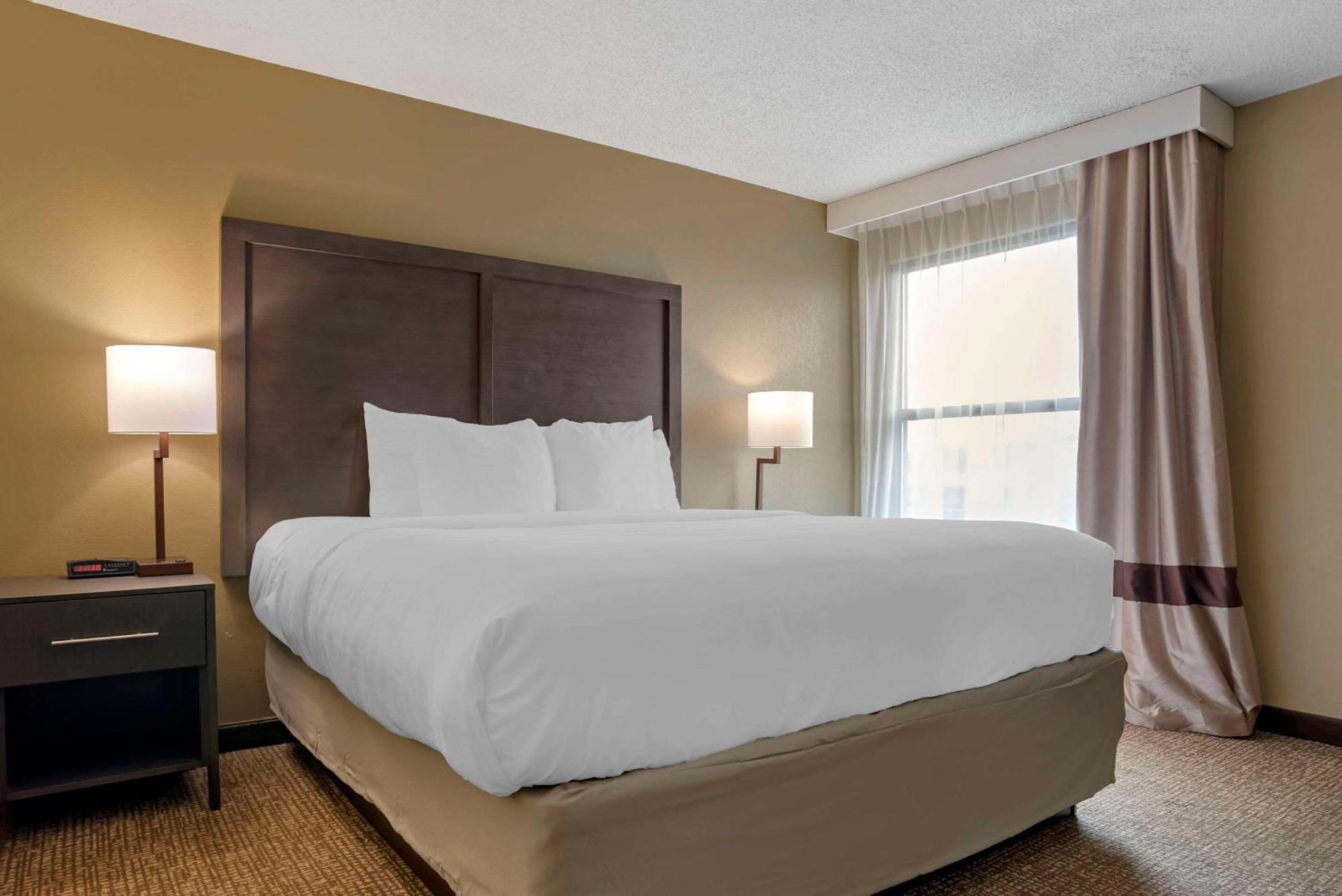 Comfort Inn Opelika - Auburn מראה חיצוני תמונה