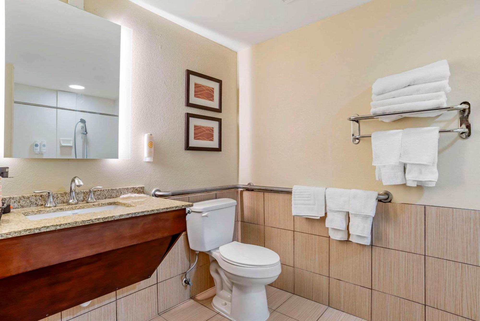 Comfort Inn Opelika - Auburn מראה חיצוני תמונה