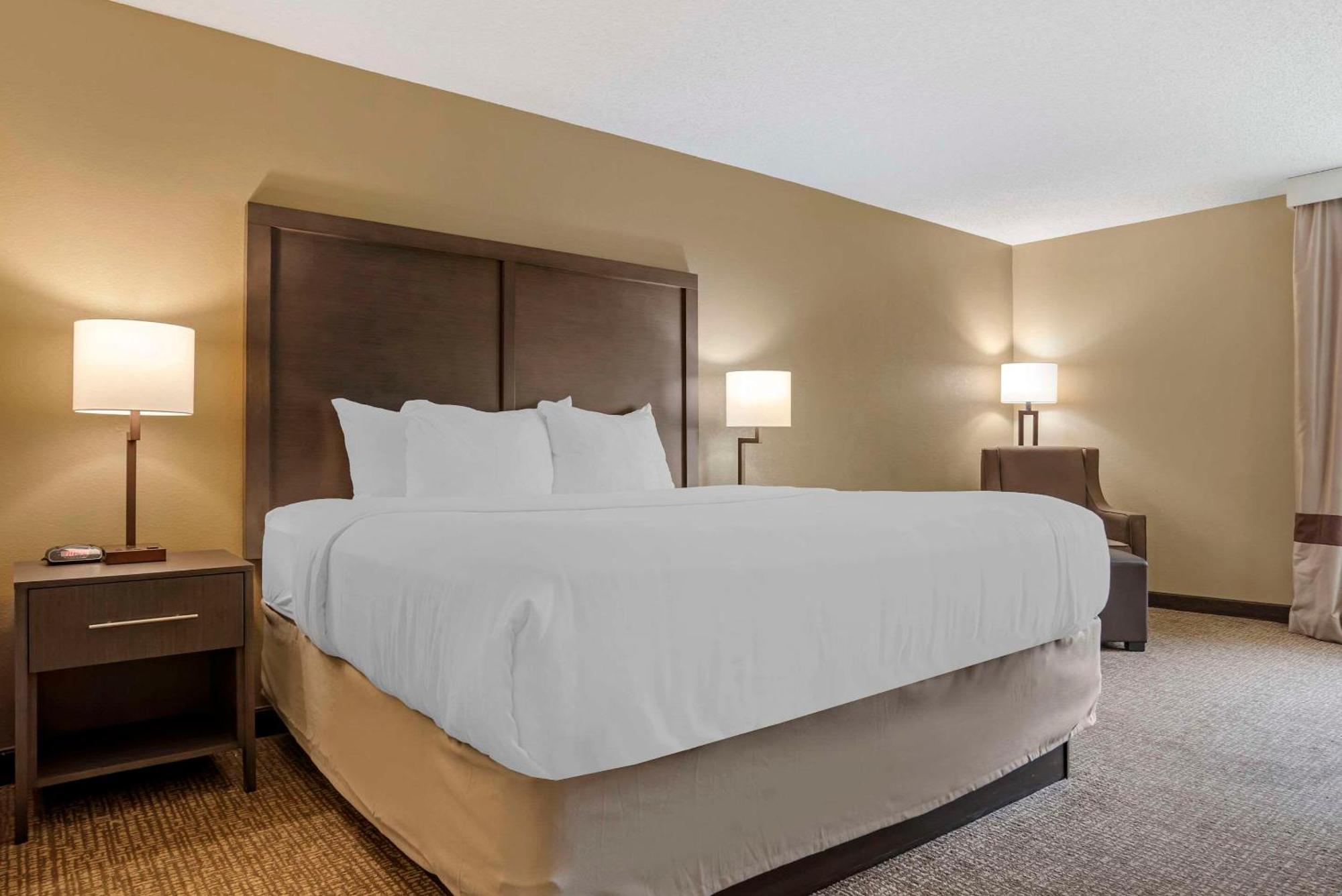 Comfort Inn Opelika - Auburn מראה חיצוני תמונה